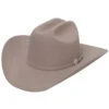 10x Stetson Shasta Beaver Felt Cowboy Hat Silverbelly